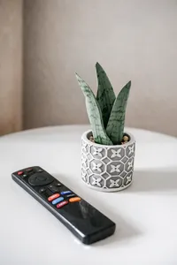 Миниатюра квартиры 10