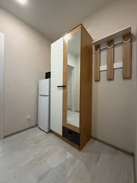 Миниатюра квартиры 10