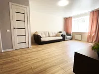 Миниатюра квартиры 3