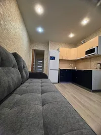 Миниатюра квартиры 11