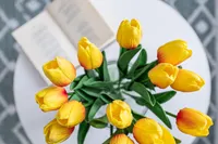 Миниатюра квартиры 18