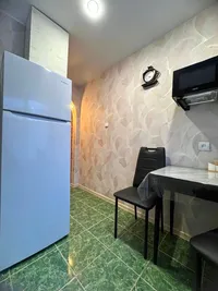 Миниатюра квартиры 10