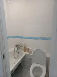 Миниатюра квартиры 4