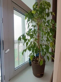 Миниатюра квартиры 28