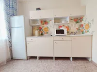 Миниатюра квартиры 11