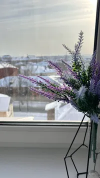 Миниатюра квартиры 7