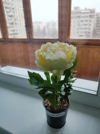 Миниатюра квартиры 9