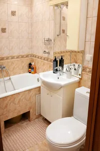 Миниатюра квартиры 17