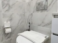 Миниатюра квартиры 9