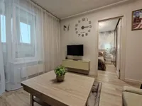 Миниатюра квартиры 12