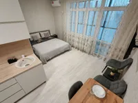 Миниатюра квартиры 2