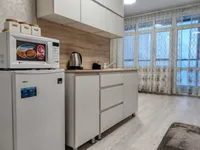 Миниатюра квартиры 8