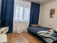 Миниатюра квартиры 2