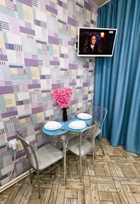 Миниатюра квартиры 12