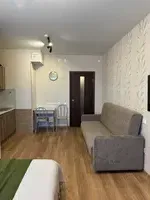 Миниатюра квартиры 7