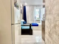 Миниатюра квартиры 8