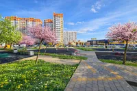 Миниатюра квартиры 9