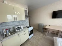 Миниатюра квартиры 3