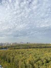 Миниатюра квартиры 11