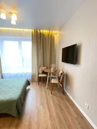 Миниатюра квартиры 9
