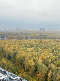 Миниатюра квартиры 12