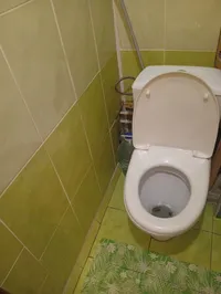 Миниатюра квартиры 11