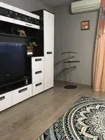 Миниатюра квартиры 11