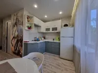 Миниатюра квартиры 9