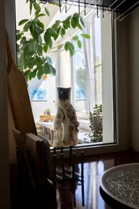 Миниатюра квартиры 15