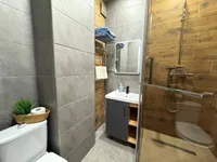 Миниатюра квартиры 11