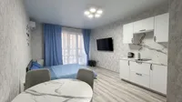 Миниатюра квартиры 5