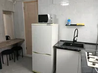 Миниатюра квартиры 12