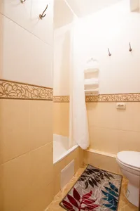 Миниатюра квартиры 5