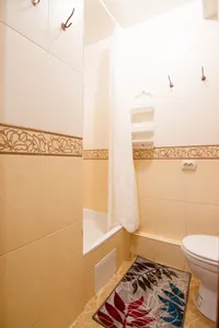 Миниатюра квартиры 5