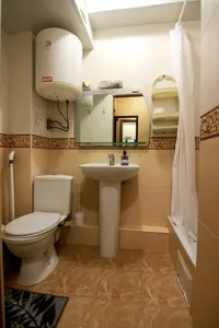 Миниатюра квартиры 4