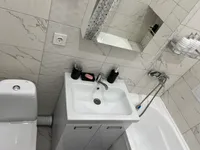 Миниатюра квартиры 9