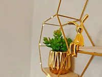 Миниатюра квартиры 10