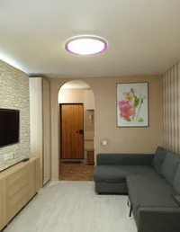 Миниатюра квартиры 9