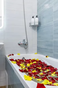 Миниатюра квартиры 24