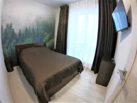 Миниатюра квартиры 16