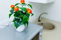 Миниатюра квартиры 12