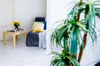 Миниатюра квартиры 16