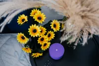 Миниатюра квартиры 15