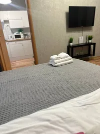 Миниатюра квартиры 19