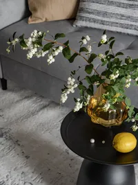 Миниатюра квартиры 29