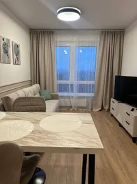 Миниатюра квартиры 4