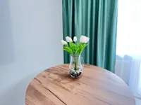 Миниатюра квартиры 3