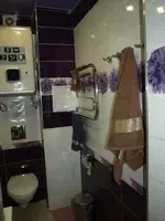 Миниатюра квартиры 20