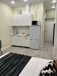 Миниатюра квартиры 17