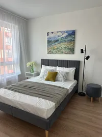 Миниатюра квартиры 10